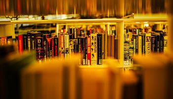 Boekenkast in Gouden Licht – Bibliotheek Fotografie