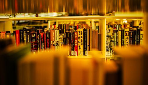 Boekenkast in Gouden Licht – Bibliotheek Fotografie
