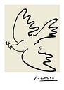 Picasso die Taube, Friedenstaube von Picasso, minimalistische Kunst von Picasso von Hella Maas Miniaturansicht