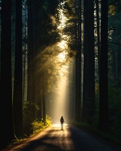 Abenteuer Natur