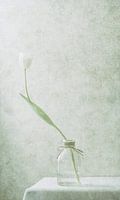 Ephemeral White (2)