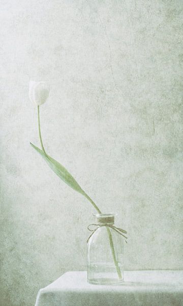 Ephemeral White (2) by Delphine Devos