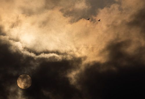 Sonnenaufgang in IJmuiden