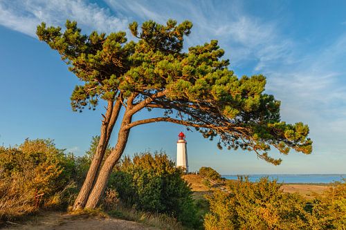 Dornbusch lighthouse on Hiddensee