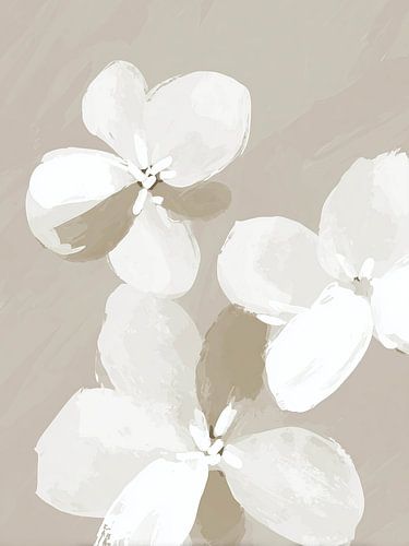 Witte bloemen op taupe