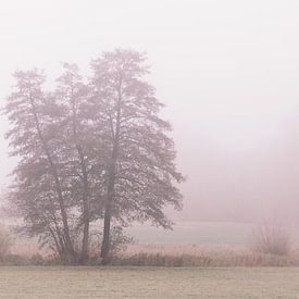 Paysage pittoresque dans le brouillard sur Tobias Luxberg