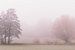 Malerische Landschaft im Nebel von Tobias Luxberg
