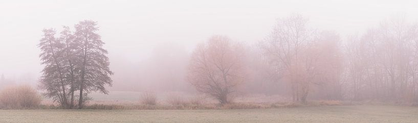 Schilderachtig landschap in de mist van Tobias Luxberg