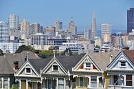 The Painted Ladies by Wilco Mellema thumbnail