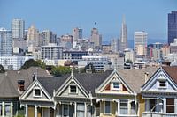 The Painted Ladies