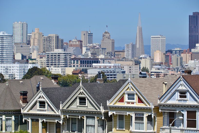 The Painted Ladies by Wilco Mellema