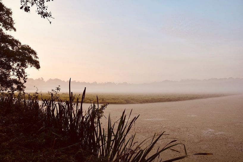 Herfst in het Haagsche bos van Jan Radstake