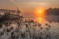 gouden zonsopkomst boven de vijver in de teut te Limburg, Belgie van Fotografie Krist / Top Foto Vlaanderen thumbnail