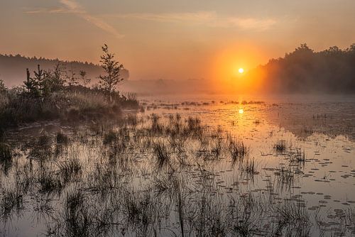 gouden zonsopkomst boven de vijver in de teut te Limburg, Belgie