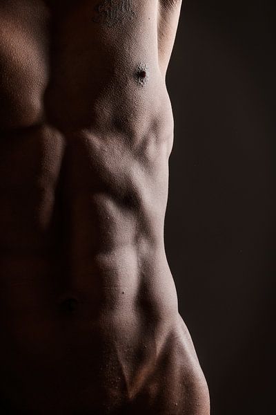 Abs van Johan Vos