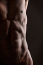 Abs van Johan Vos thumbnail
