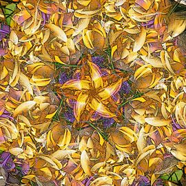 Croque Monsieur van Frans Blok - foto's, kunst en andere wanddecoratie