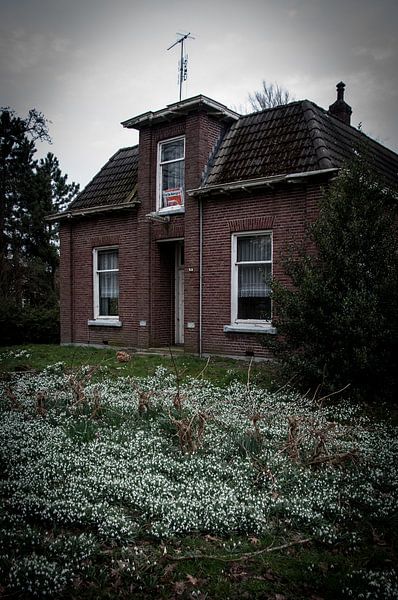 Leegstaand huis von Roel Van Cauwenberghe