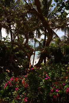 Masai-Moment an der Küste