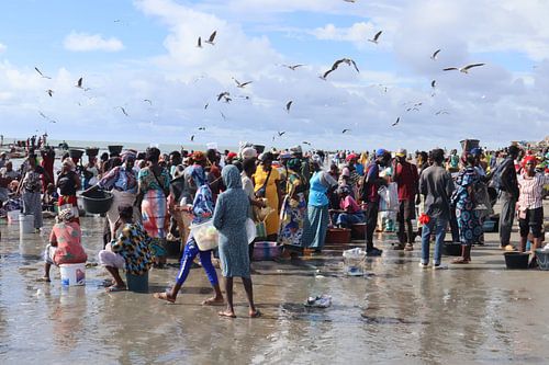 Gambia Tanji