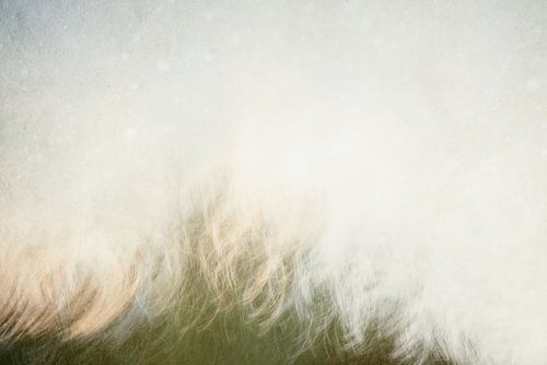 Œuvre d'art minimaliste représentant des arbres en mouvement