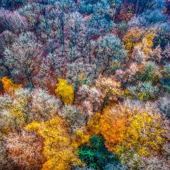 Une splendeur colorée