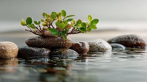 ZENFUL