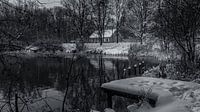 Uden Visvijver De Kleuter van HvNunenfoto thumbnail