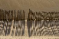 Linienspiel mit Schatten von Peter Sneijders Miniaturansicht