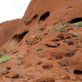 Uluru by Matthias Brix