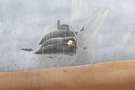 Whale van Maarten Goes thumbnail