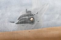 Whale