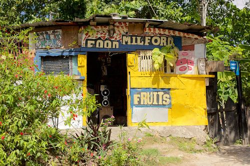 Colourful workshop in Guadeloupe