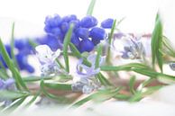 Zarte blau töne des Frühjahrs aus Blüten und Blättern von Tanja Riedel Miniaturansicht