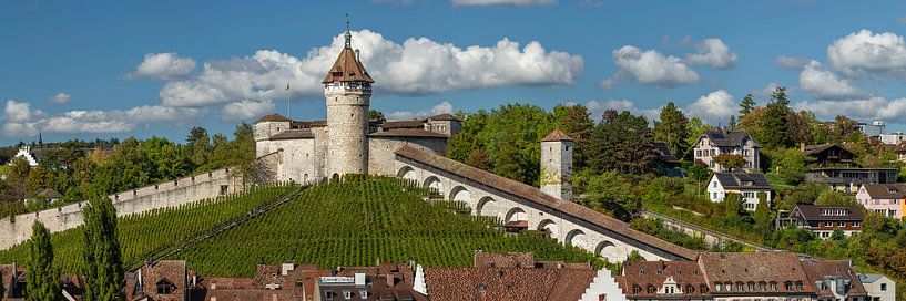 Vesting Munot boven Schaffhausen van Markus Lange
