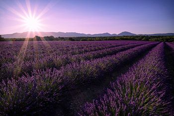 Avondzon Provence