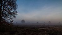 Ochtend mist op de hei