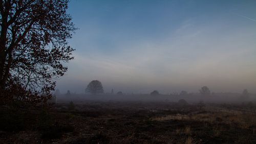 Ochtend mist op de hei