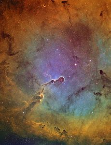 Elephant Trunk Nebula van André van der Hoeven