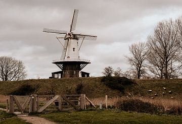 Mill with sheep by Aline van Helden