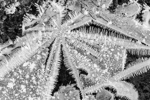 Star (Ice structure)