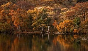Herbstliche Landschaft