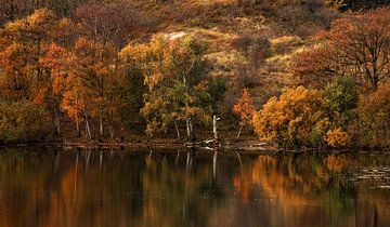 Autumn landscape by Bob Bleeker