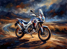 Die Honda Africa Twin im Sturm von Jan Keteleer