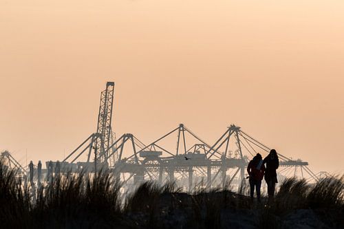 Maasvlakte, Hoek van Holland / Rotterdam