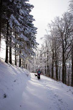 Zonnige sneeuw hike in Duitsland 1