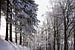 Zonnige sneeuw hike in Duitsland 1 van Pieter Bezuijen
