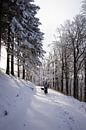 Zonnige sneeuw hike in Duitsland 1 van Pieter Bezuijen thumbnail