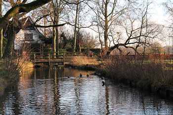 Ein Spaziergang durch den Park