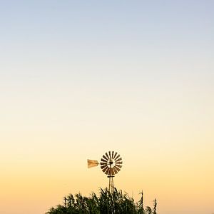 Les moulins à vent de Chypre